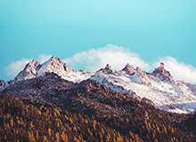 NBA历史首位中锋！约基奇达成生涯6000次助攻里程碑